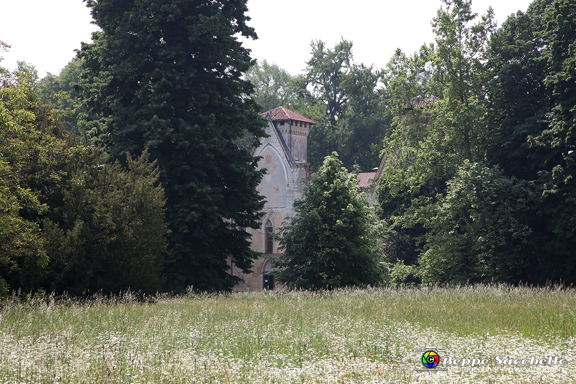 VBS_1579 - Castello di Miradolo - Mostra Oltre il giardino l'Abbecedario di paolo Pejrone.jpg